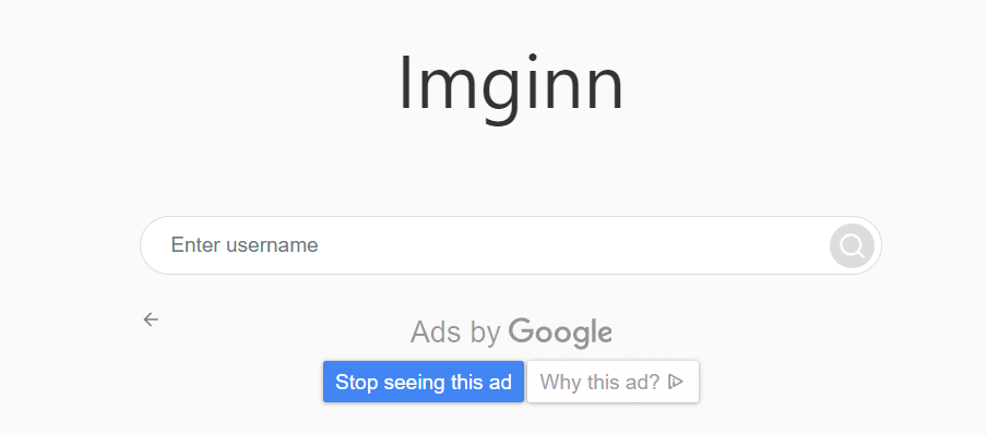 What is Imginn?