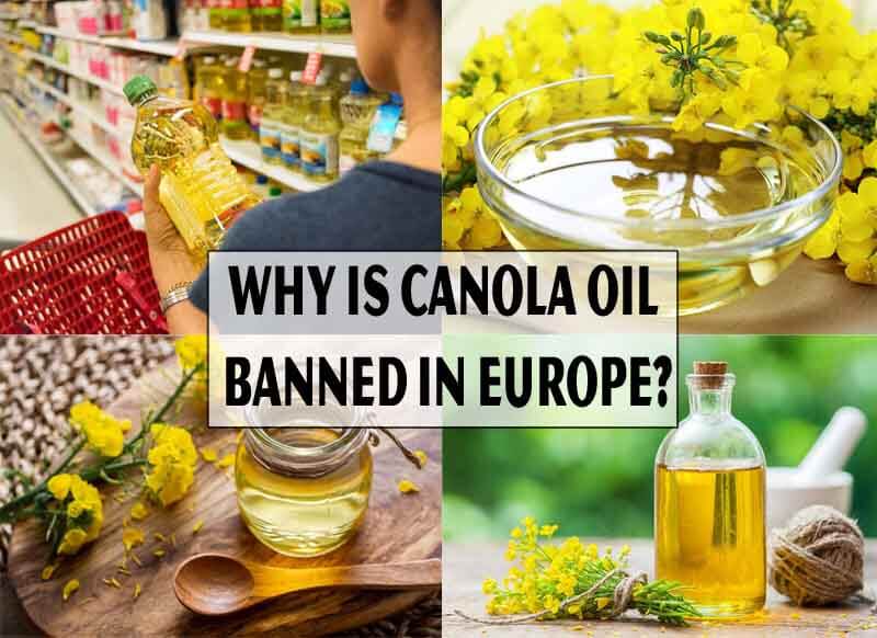 Why is Canola Oil Banned in Europe?